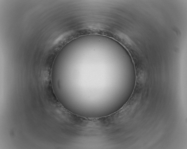 X0000113041110200909101912