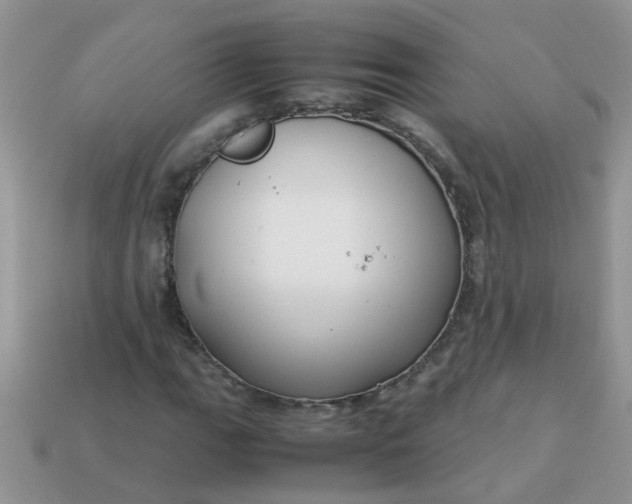 X0000113041111200909101912