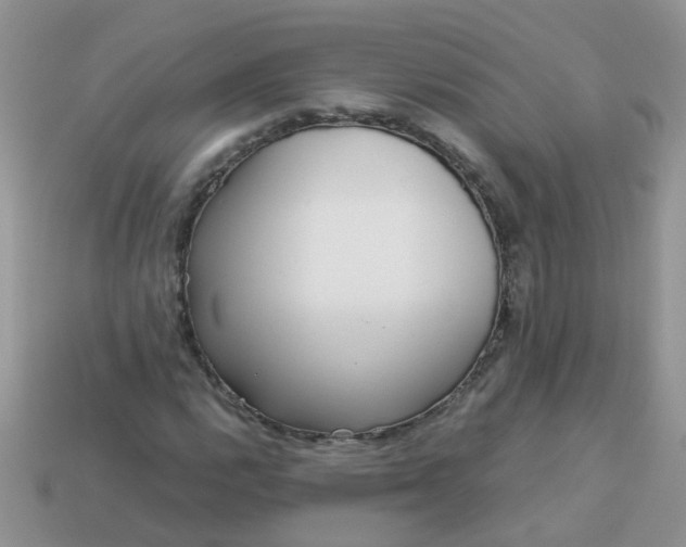 X0000113041112200909101912