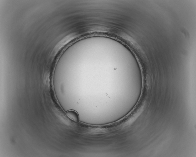X0000113041113200909101912
