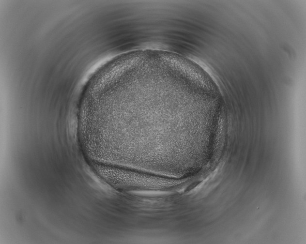 X0000113041115200909101912