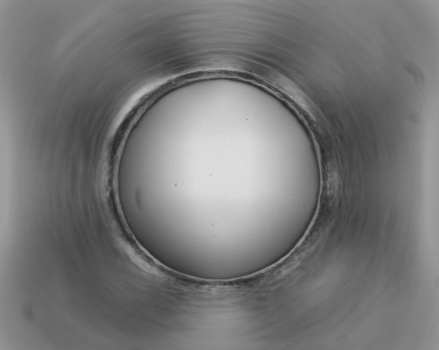 X0000113041116200909101912