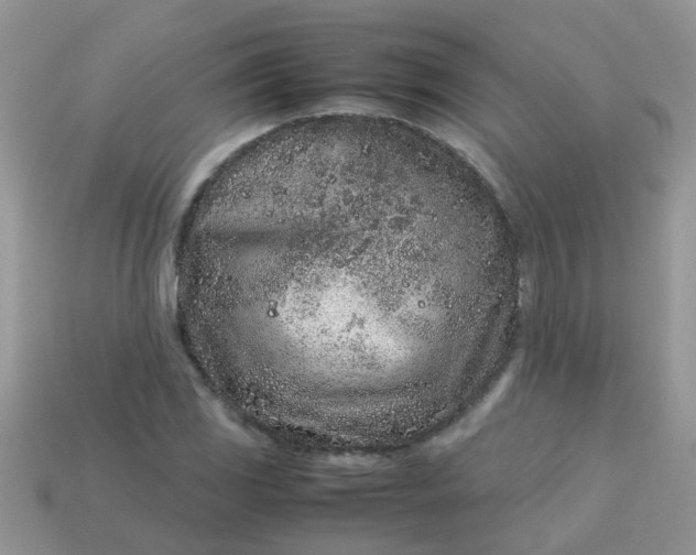 X0000113041117200909101912