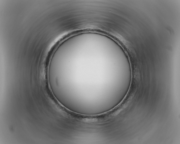 X0000113041118200909101912