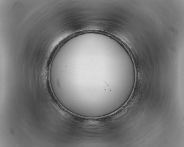 X0000113041119200909101912