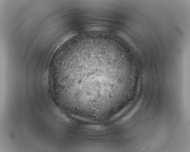 X0000113041121200909101912