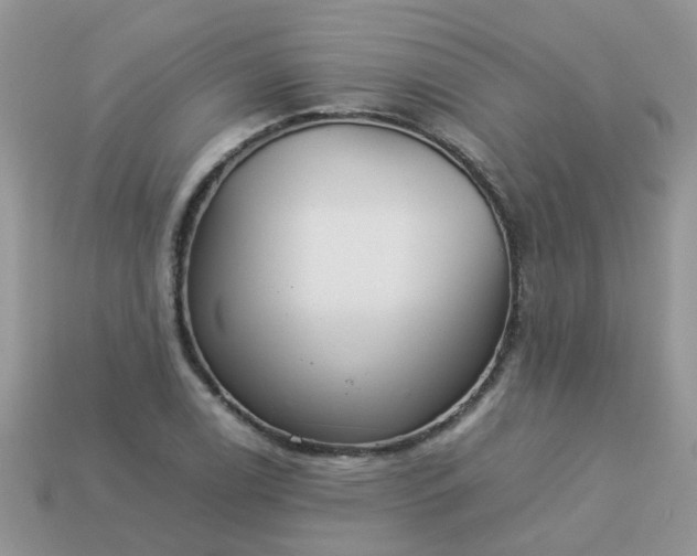 X0000113041122200909101912