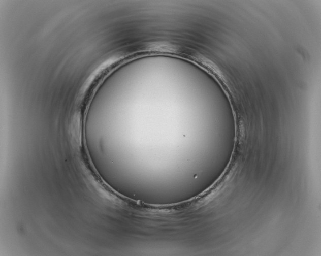 X0000113041123200909101912