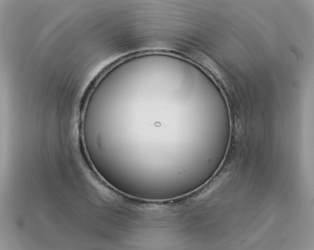 X0000113041124200909101912