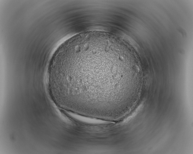 X0000113041125200909101912
