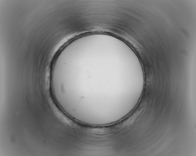 X0000113041126200909101912