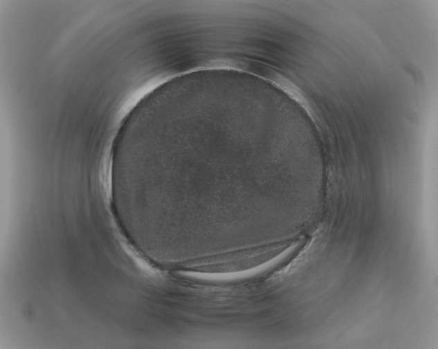 X0000113041127200909101912