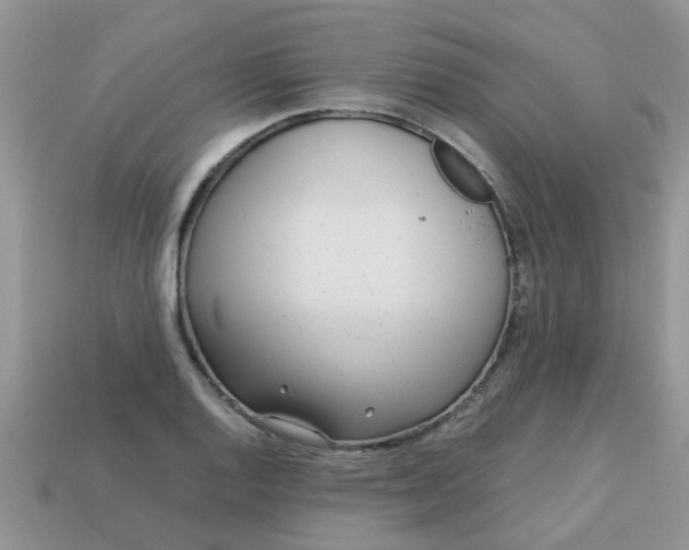X0000113041128200909101912