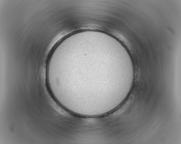 X0000113041130200909101912