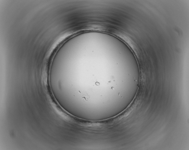 X0000113041131200909101913
