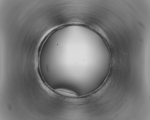 X0000113041132200909101913