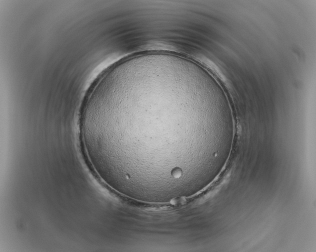 X0000113041133200909101913
