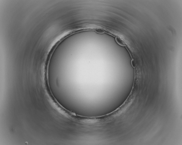 X0000113041134200909101913