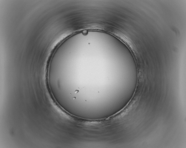 X0000113041135200909101913