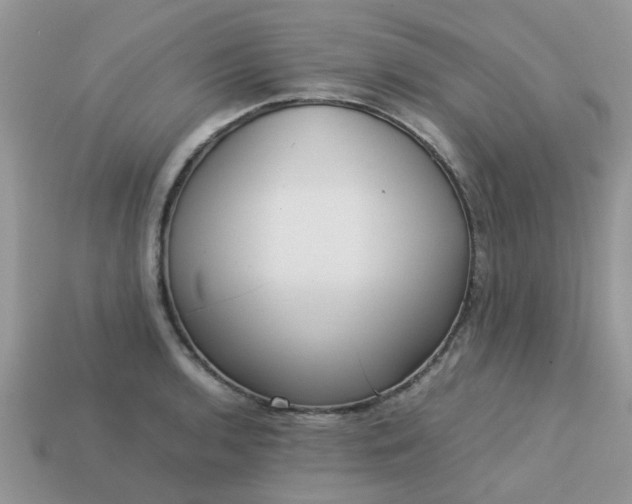 X0000113041136200909101913