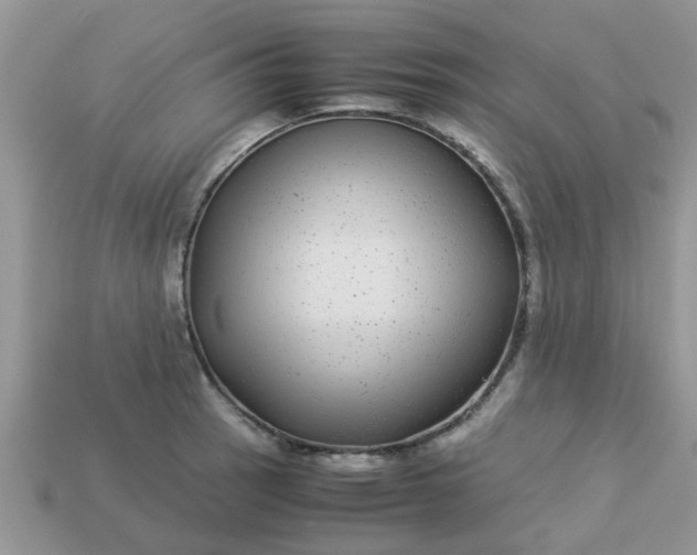 X0000113041137200909101913