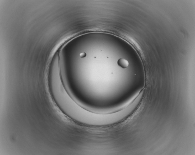 X0000113041138200909101913