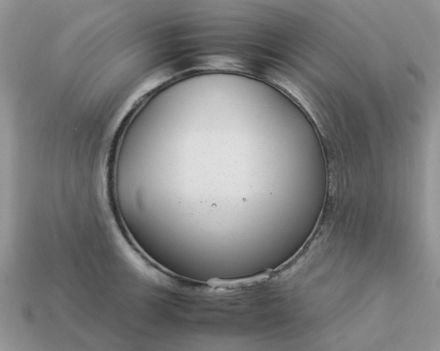 X0000113041139200909101913