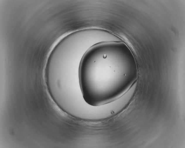 X0000113041140200909101913
