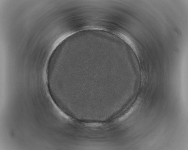 X0000113041141200909101913