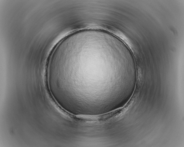 X0000113041142200909101913