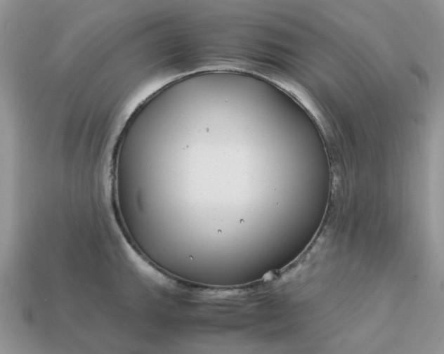 X0000113041143200909101913