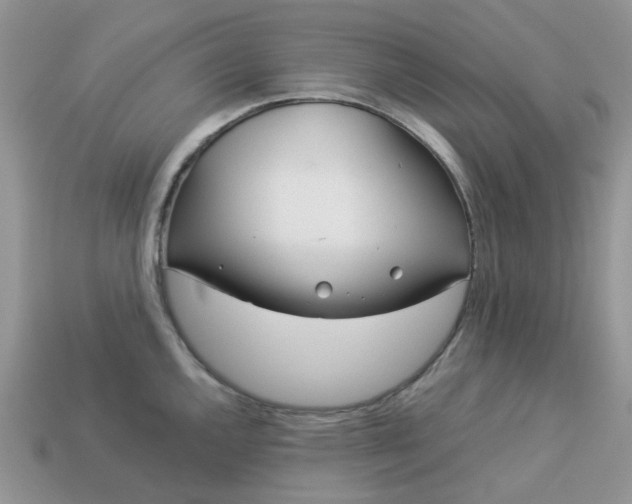 X0000113041144200909101913