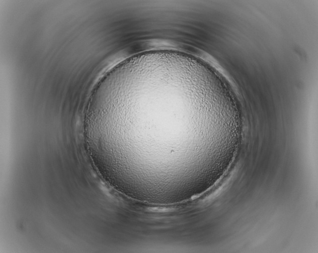 X0000113041145200909101913
