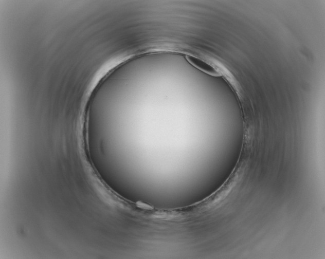 X0000113041146200909101913