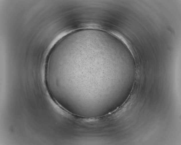 X0000113041147200909101913