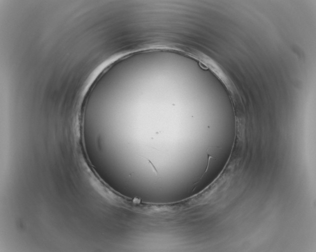 X0000113041148200909101913