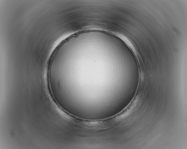 X0000113041149200909101913