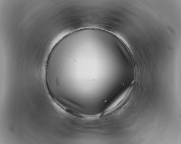 X0000113041151200909101913