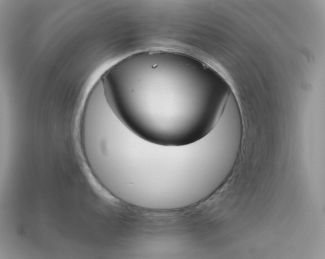 X0000113041152200909101913