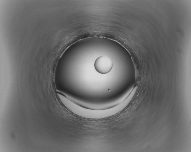 X0000113041153200909101912