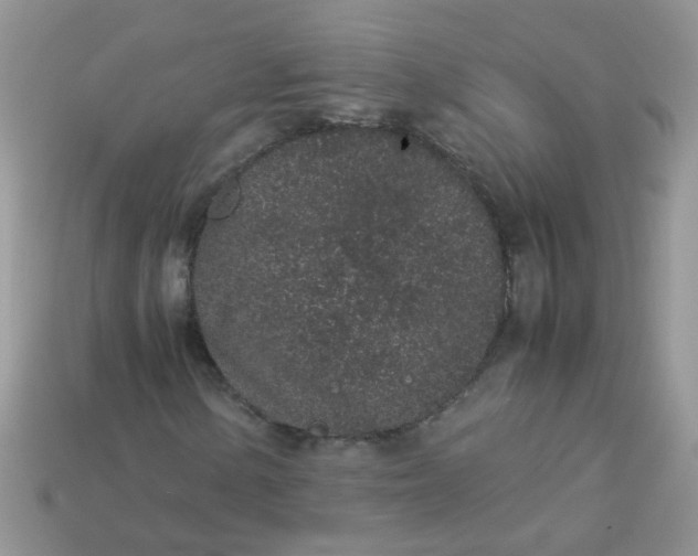 X0000113041154200909101912