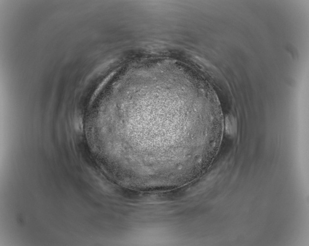 X0000113041155200909101912