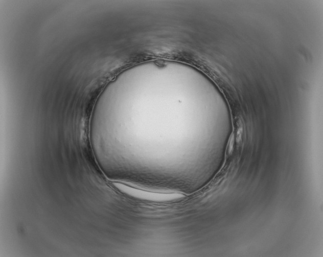 X0000113041156200909101912