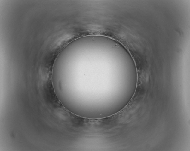 X0000113041157200909101912