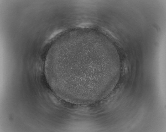 X0000113041158200909101912