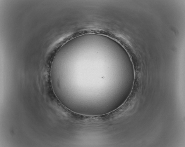 X0000113041159200909101912