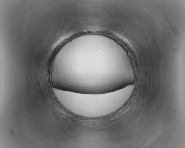 X0000113041160200909101912