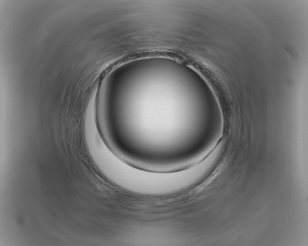 X0000113041161200909101912