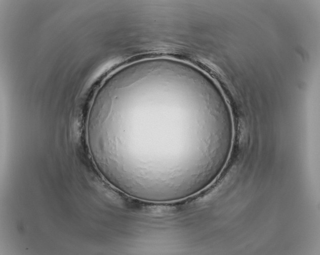 X0000113041163200909101912