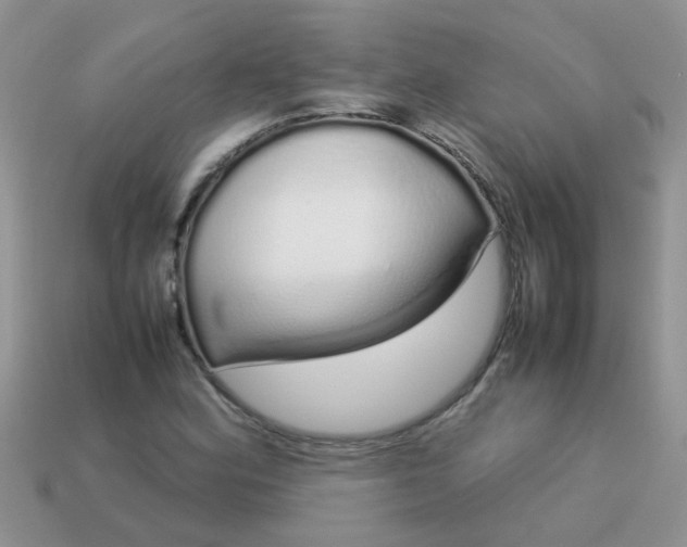 X0000113041164200909101912